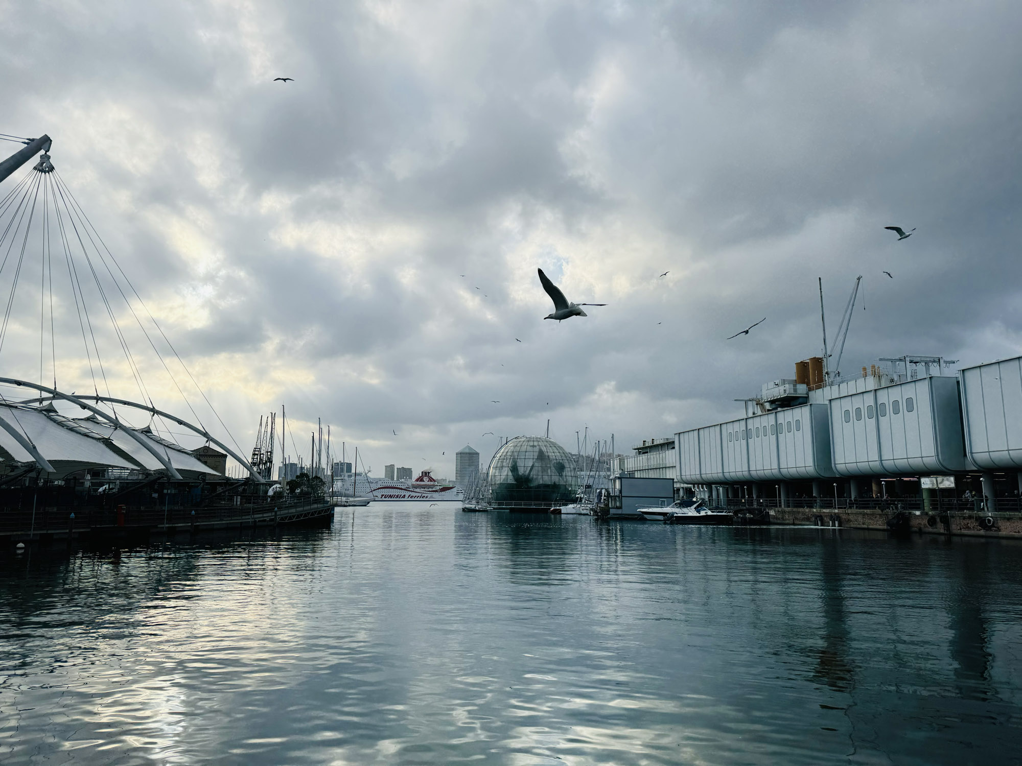 porto di genova per noi